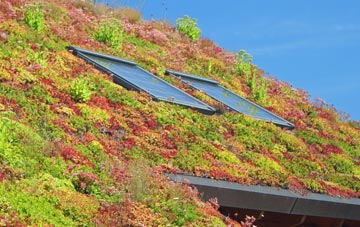 Keys Green living roof systems