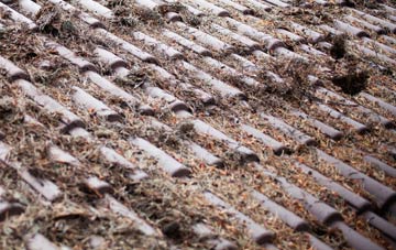 Keys Green roof cleaning companies